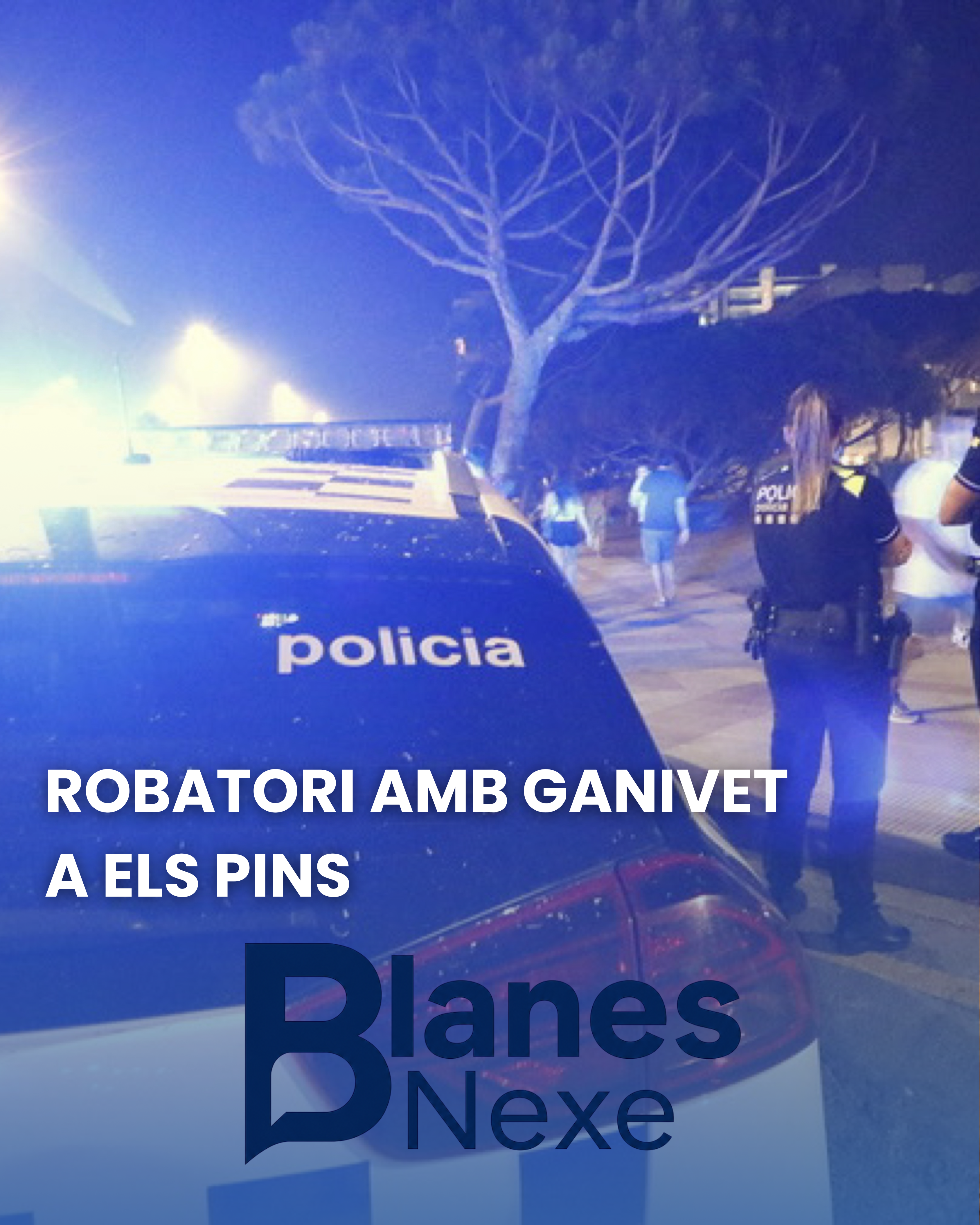 Detingut per un robatori amb violència a Els Pins