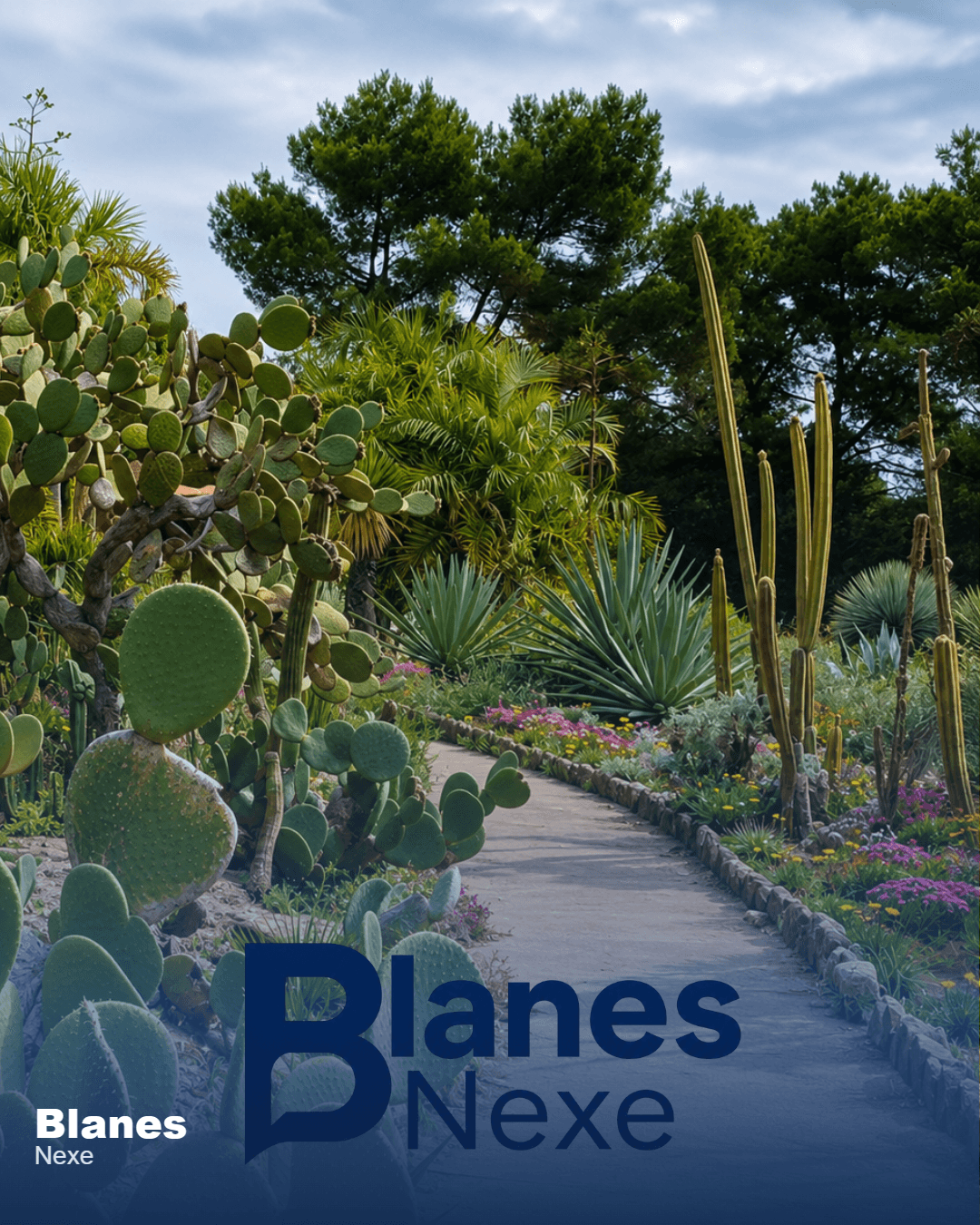 Pinya de Rosa: la història del jardí botànic de Blanes que va ser un referent a Europa — foto 4