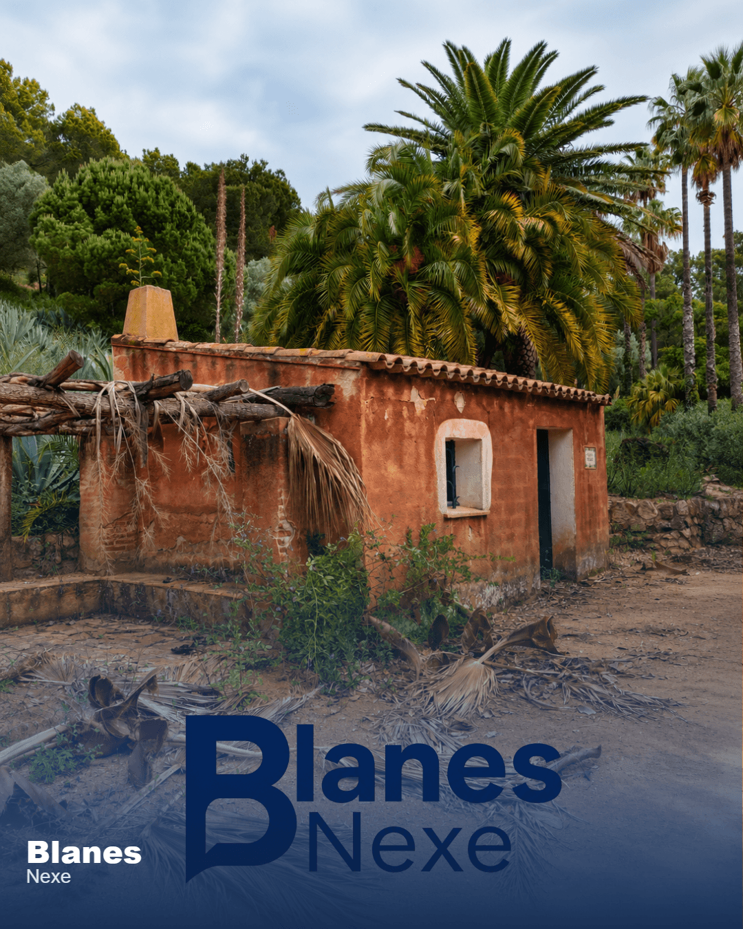 Pinya de Rosa: la història del jardí botànic de Blanes que va ser un referent a Europa — foto 2