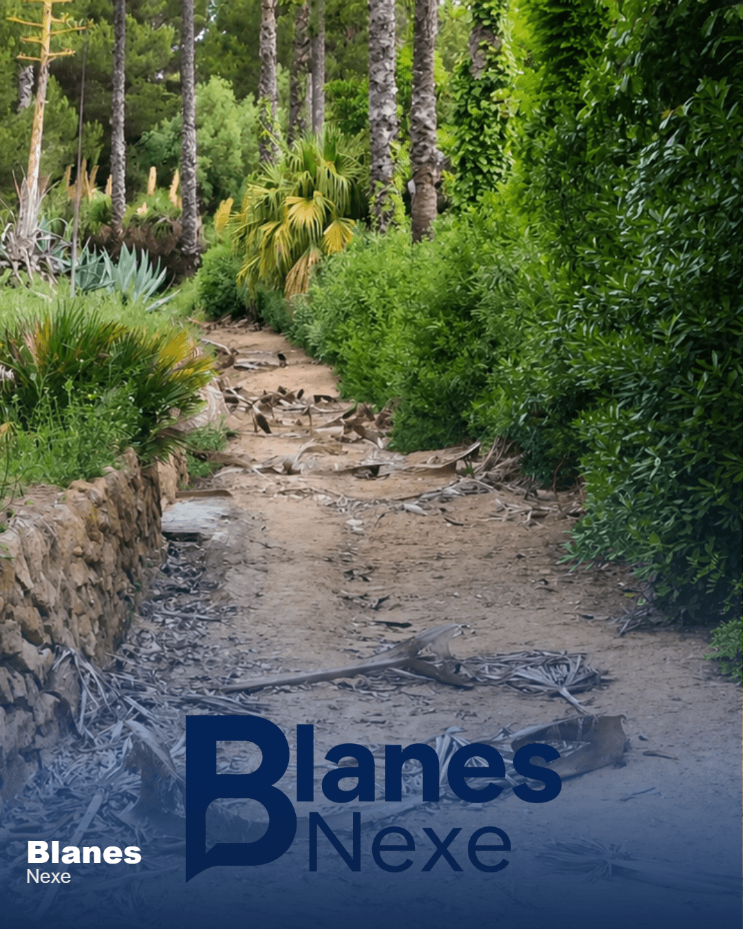 Pinya de Rosa: la història del jardí botànic de Blanes que va ser un referent a Europa — foto 3